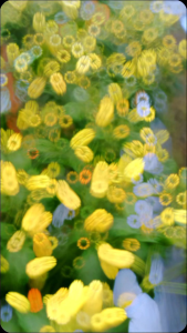 Cabai Rawit ORTAVI 10 GR mempunyai panjang ± 535 – 589 centimeter serta berdiameter ± 9 sampai 1125 milimeter. antivirus produktivitas tinggi.