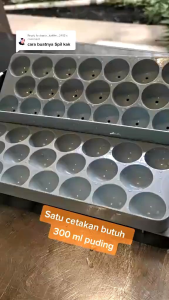 Cetakan Pudding / Es Batu Telor Puyuh / Agar Bulat Agar Plastik
