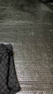 Celana KENDY Scuba pendek motif RIP(Lingkar karet) MHNK175