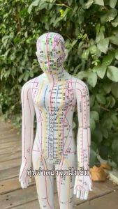 หุ่นจำลองจุดฝังเข็ม 52-54-62cm หุ่นจำลองฝังเข็มได้ งานละเอียดพิเศษ ให้เสริมสร้างเนื้อเยื่อในร่างกาย