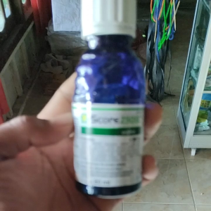 Score 250 EC Sygenta Fungisida - 80ml Original
