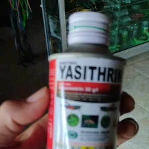 Insektisida Yasithrin 30ec 100ml: Pengendali Serangga Efektif