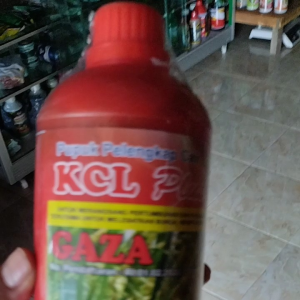 Pupuk Tanaman Anti Jamur: Pupuk KCL Plus ZPT GAZA 1 Liter