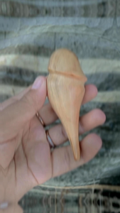 once pipa cangklong kemuning gading unik dan lentik minimalis A642