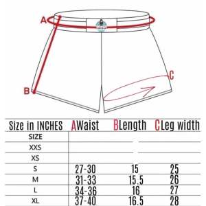 With ISSUE! THAI BOXING Muay Thai Shorts (Faded/Fading GOLD color)