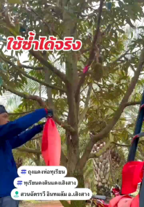 ถุงห่อทุเรียน สีแดงและขาว ชุด 50ใบ เขือกรูด2ข้าง