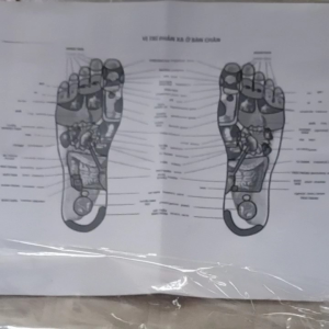 Bàn lăn chân Thư giãn 5 Hàng (28x16 cm) kích thích huyệt đạo tăng cường phục hồi sức khoẻ lưu thông máu huyết