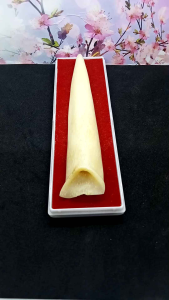 once pipa tulang iga Dy model taring premium A410