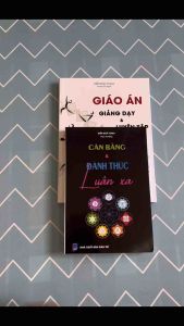Sách yoga: Combo 2 cuỗn Giáo án yoga trị liệu + Cân bằng và đánh thức luân xa