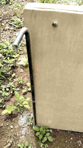 Jebakan Burung Ruak Sistem Cermin: Efektif & Ramah Lingkungan