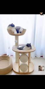 Premium Solid Wood Cat Tree with Comfortable Enclosed Space Capsule Cat Bed Wear-Resistant Natural Sisal Scratching Posts Fun Interactive Rolling Ball Toy & Sturdy Stable Platform Multi-Level Cat Climbing Tower for Indoor Cats of All Sizes Breeds