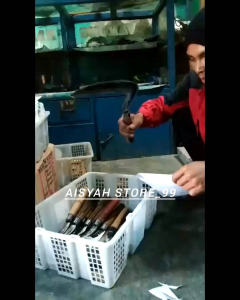 Arit Baja Setajam Silet: Alat Pertanian Model Tanjungsarian