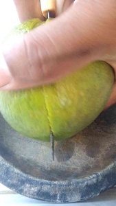 Jeruk Pamelo Manis si madu Segar bugar Spesial kemasan 1kg