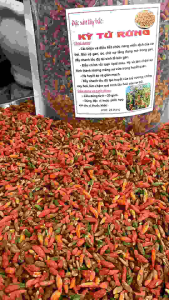 1 KG KỈ TỬ MỘC RỪNG TỰ NHIÊN
