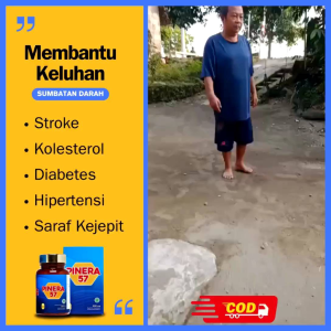 PINERA57 100%  ORIGINAL 1 BOX OBAT HERBAL STROKE KOLESTEROL DIABETES JANTUNG ASAM URAT  PINERA 57