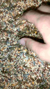 Makanan Hamster Mix Premium HamsGrow 200 gram biji - bijian