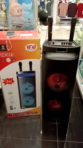 Dual 10” Woofer Bluetooth Karaoke Party Speaker