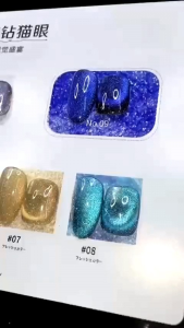 Set sơn gel mắt mèo nhũ Flash Hanbi 9 màu ( tặng kèm bảng màu )