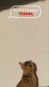 HARDCASE SOFTCASE REDMI 13C 4G CASING CASE IMD GLOSSY POLYCARBONATE HYBRID HOLOGRAM M FAKHRI ACC