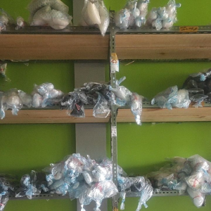 Jaring Burung Sawah Jaring Padi Jaring Burung Kecil Jaring Buru Emprit Jaring Burung pipit Bonus Tali