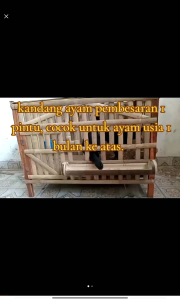 Kandang Ayam Pembesaran 1 Pintu