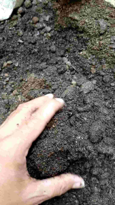 Pupuk Guano Kelelawar Murni 5 Kilo gram untuk Taman dan Kebun
