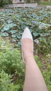 Giày cao gót 5p sandan quai hậu sau da mờ gót trụ