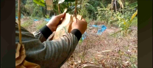 ถุงห่อผลไม้ 2 ชั้น ตราชุนฟง ยังซ้ำได้ 2-3 ครั้ง ทนฝน-ทนเเดด 18x28 ซม. ห่อมะม่วง กระท้อน ฝรั่ง ชมพู่ น้อยหน่า เเละผลไม้ ราคาที่เหมาะสม