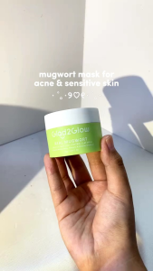 Glad2Glow Real Mugwort Clay Mask Fash Wash Salicylic Acid Jelly Mask Anti Pores & Acne Jerawat 30g