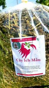 1kg Cây Ích Mẫu khô hàng loại 1 giúp điều hòa kinh nguyệt