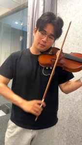 Blueridge Violin Full Size