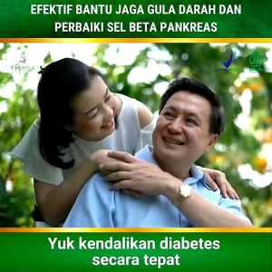 YACONA – Obat Herbal Diabetes kapsul atasi gula darah