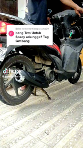 KNALPOT TZM COPY BEAT Genio Scoopy BEAT STREET Spacy VARIO110 LED