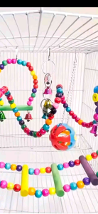 Combo 6 món đồ chơi treo lồng cho vẹt sóc chuột hamster và chim cảnh khác (mã 005)