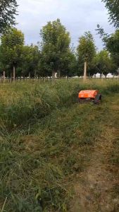 Mesin Pemotong Rumput Remote Control (RC) Starter Engine