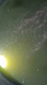 ชุดทำน้ำเขียว+ปุ๋ยน้ำสูตรสำเร็จT10ขวดเดียวจบ