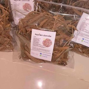 ปอกะบิดแห้ง ปอกะบิด สมุนไพรปอกะบิด สมุนไพรปอกะบิดแห้ง ชาสมุนไพรปอกะบิด ชาสมุนไพร