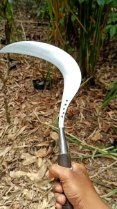 ALAT TANI RUMPUT BEST SELLER BINTANG 5 KHAS MADURA