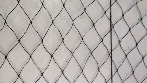 JARING PAGAR AYAM BONUS TALI UKURAN 2 X 20 METER / JARING PAGAR AYAM / JARING PAGAR KANDANG AYAM / JARING PAGAR KEBUN / JARING PAGAR TANAMAN