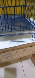 kandang gantung burung plecie dll..bisa d.lipat uk/23×40 d.cat cottng