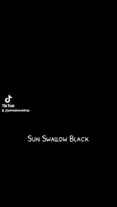 ECERAN SATUAN!! Sandal Jepit Sun Swallow BLACK JUMBO 11(42) dan 12(44-45)