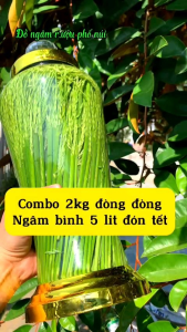 Đòng Đồng nếp 1 kg ( loại đặc biệt) rất thơm ngon