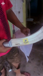 egrek camel original