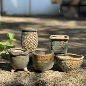 Bộ 5 chậu trồng cây sen đá/xương rồng nhập Trung màu nắng