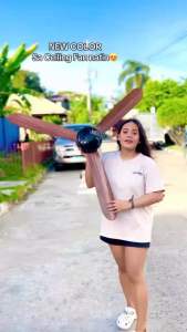 SW POWER BIG CEILING FAN 1050MM Diameter Size Indoor and Outdoor use with 25watts only