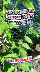 Kacang bawang kemasan 1000 gram