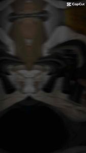 Dụng cụ hái dừa lưỡi liềm cắt quả dừa trên cao thép tốt vật tư nông nghiệp cứng cáp cắt tỉa cây sắn măng đa năng