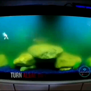 Aquarium UV Light Sterilizer  20W 30W 40W 60W 100W Algae Remover Clear Water Pond Fish Tank Submersible Akuarium Penjernih Air