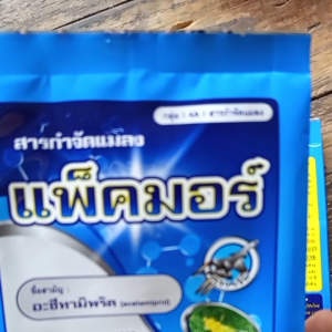 สารกำจัดแมลงหวี่ขาว แพ็คมอร์ อะซีทามิพริด 20%SP ขนาด 100g