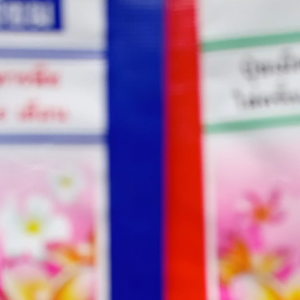 ปูยลายช้า ปูยออสโมค่อง สูตร 12-25 6% บำรุงต้น เร่งดอก ขนาด 100 กรัม